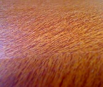 Jpeg 45kb Pre Source Pinstopin Burnt Orange Wallpaper