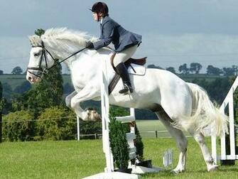 Equestrian Sac Mckenzie Wallpaper