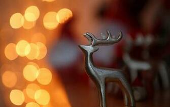 Reindeer Christmas Lights Computer Desktop Wallpaper Pictures