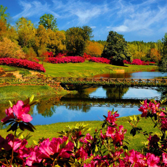 Most Beautiful Spring Wallpaper