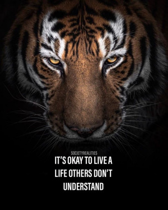 Terryspady On Tiger Wallpaper Warrior Quotes