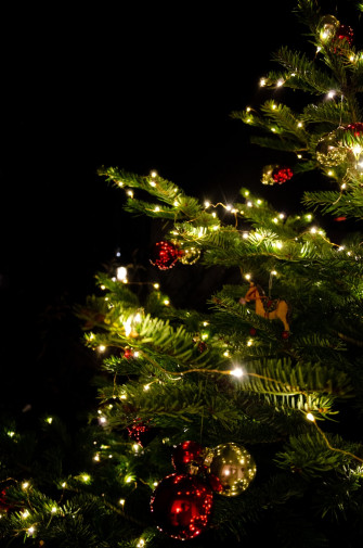 Green Christmas Tree With String Lights Photo
