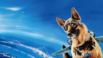 Cats And Dogs Wallpaper