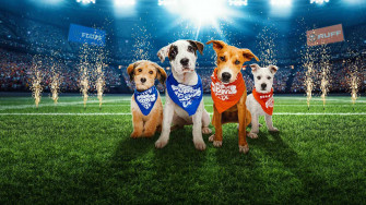 Puppy Bowl Xix Tbs