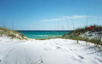 Grayton Beach Dunes Below Is Shown Smaller Than The Actual Size Of