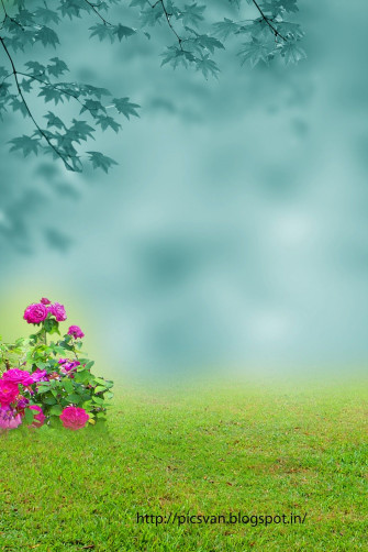 65da22d0445976bf5c52bba6bb0d3b54 Wallpaper