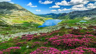 Windows Wallpaper Just Released By Microsoft