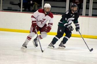 Michigan State Vs Alabama Div Iii Hockey By Bronyboomop On