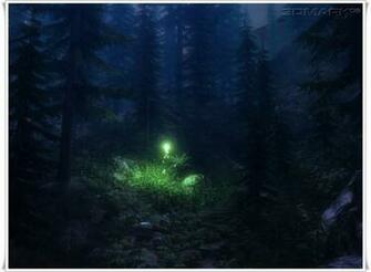 Firefly Forest