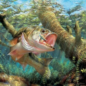 Lake River Artwork Bass Wallpaper