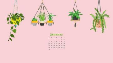 January Calendar Wallpaper Designs To Choose From