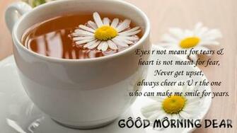 Beautiful Good Morning HD Wallpaper Wide For You