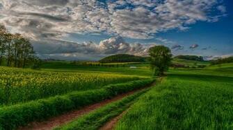 Beautiful Nature Landscape Scenery X