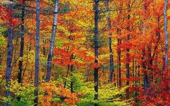 Fall Season Desktop Background Image