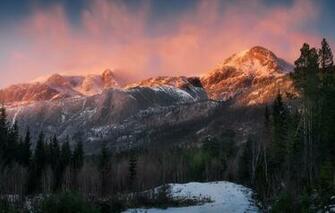 Wallpaper Forest Light Snow Mountains Nature Norway