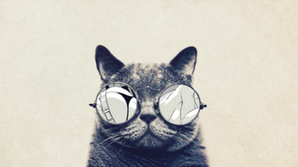 Cat With Glasses
