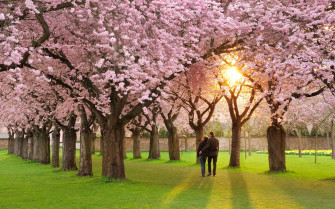 Beautiful Spring Image Wallpaper