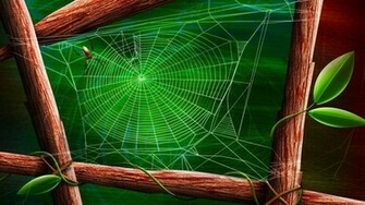 Spider Web Wallpaper