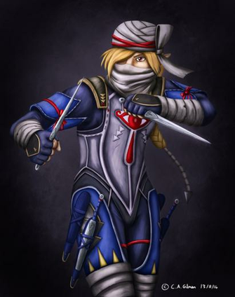 Hyrule Warriors Sheik By Xenonray