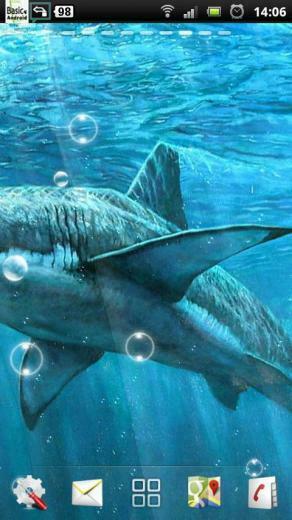 Sharks Live Wallpaper Android Apps On Google Play