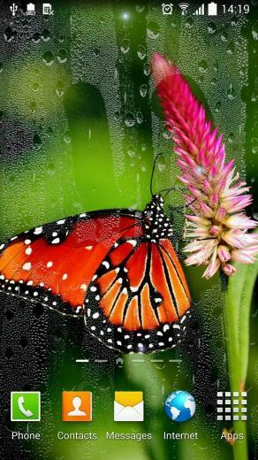 Flower Live Wallpaper Android Apps And Tests Androidpit