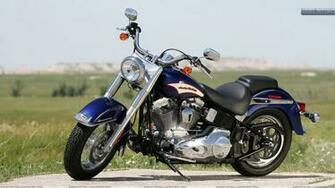 Harley Davidson Softail Front Wallpaper
