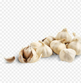 Garlic Image Png Image Background Toppng
