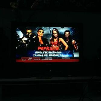 Tamina W Goldust Vs Brie Bella Roman Reigns In Wwe Payback At