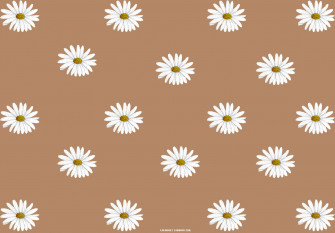 Brown Aesthetic Wallpaper For Laptop Daisy Fab Mood
