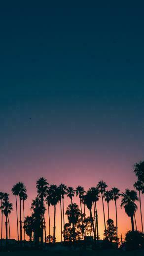Summer Wallpaper For iPhone Best Background Your Phone