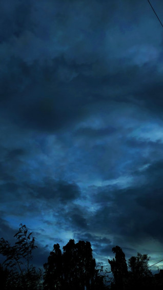 Wallpaper