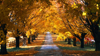 Country Roads Wallpaper