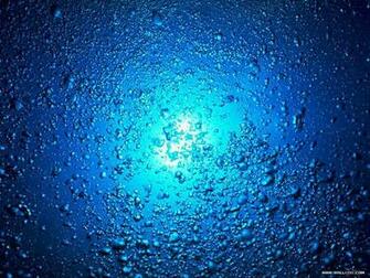 Blue Ocean Wallpaper Animals Wallpaper4 Wallcoo Net