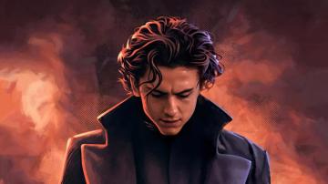 Timoth E Chalamet HD Wallpaper Background Image