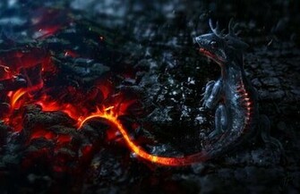 HD Little Dragon Wallpaper