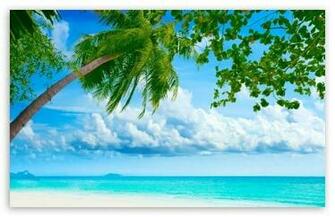 Tropical Beach Wallpaper Widescreen Desktop Background For HD