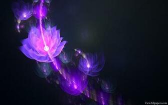 Flower Light On Black Background HD Wallpaper