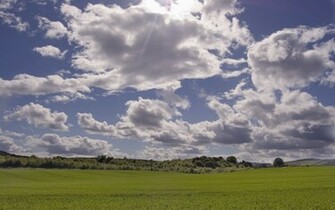 Grass HD Wallpaper Jpg