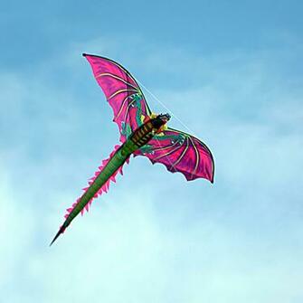 Kite Wallpaper