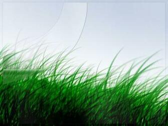 Natural Textures Grass Weave Cloth Wallpaper At