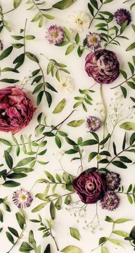 Phone Wallpaper Prints In Floral iPhone Flower