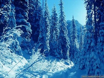 Wallpaper Afternoon Winter Nature