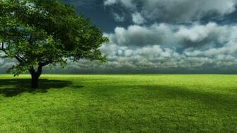 Beautiful Spring Scenery Wallpaper Jpg