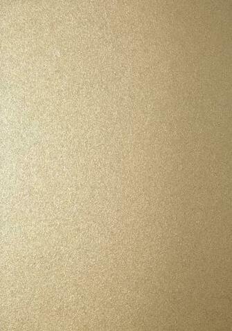 Rodeo Mica Champagne T83019 Collection Natural Resource From