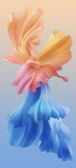 Vivo Y20 Wallpaper