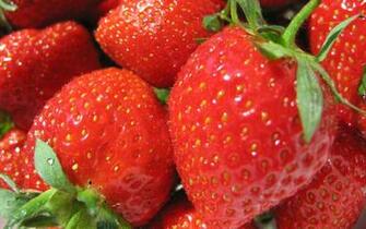Strawberries Wallpaper