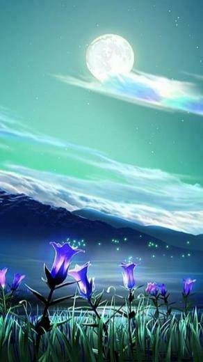 Wallpaper Amazing Nature 3d For Nokia