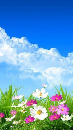Spring iPhone 5s Wallpaper