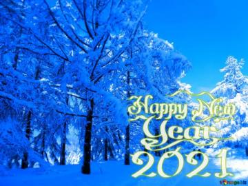 Picture Happy New Year Snow Winter Blue Forest