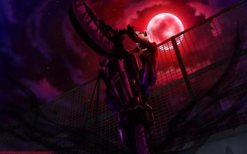 Durarara HD Wallpaper And Background